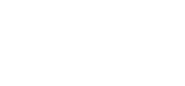 TRW T. Rabb Wilkerson III, P.C. Trial Lawyer